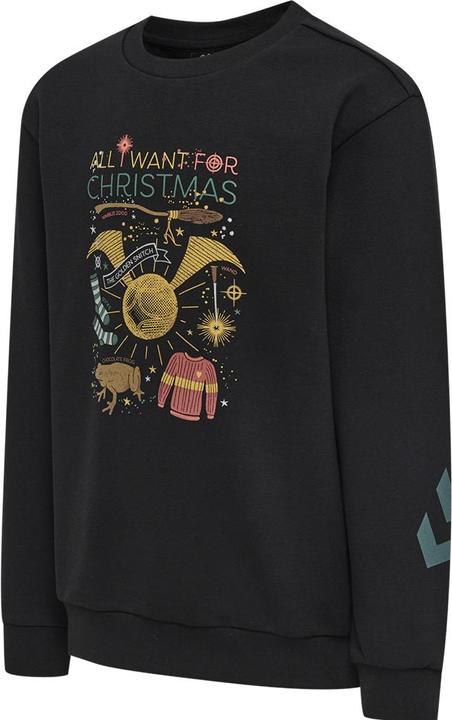 Actual product image hummel Hmlharry Potter Dos Sweatshirt (176)