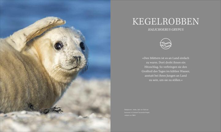 Image du produit Unsere Meere – Naturwunder Nord- und Ostsee (Allemand, Thomas Behrend, Martina Andrés, 2023)