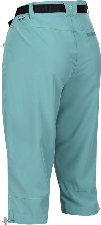 Actual product image Regatta Womens/Ladies Xert Stretch Light Capris (38 D)