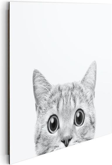 Produktbild Reinders Cat is watching (40 x 50 cm)