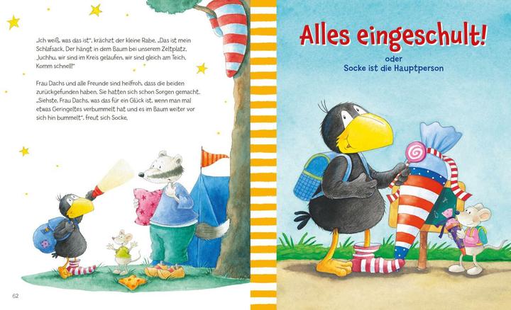 Actual product image Moost:Der kleine Rabe Socke: Mit Socke (German, Nele Moost, Annet Rudolph, 2024)