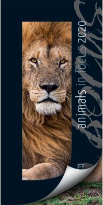 Produktbild Animals in Focus 838420189 D, 33x66cm, 2020 (Spezial)