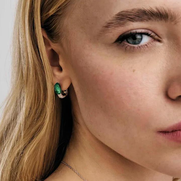 Actual product image Nomination Myradiance earrings (Silver 925)