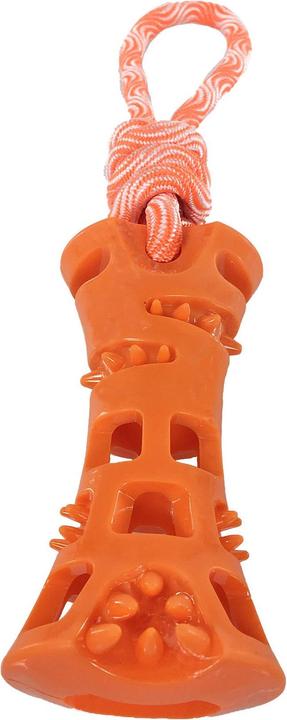 Actual product image Swisspet Denta T-Stick (Retrieval)