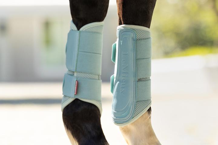 Produktbild LeMieux Arika (M)