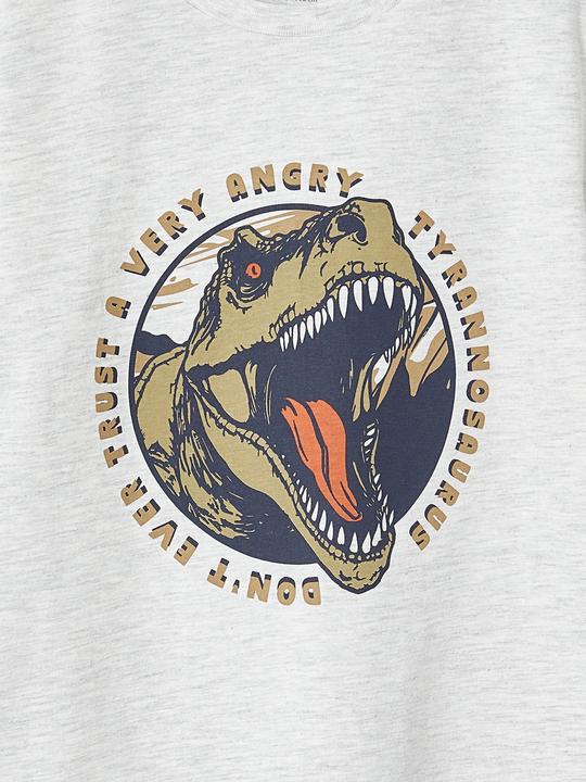 Actual product image Vertbaudet Jungen T-Shirt mit Dino, Recycling-Baumwolle (128)