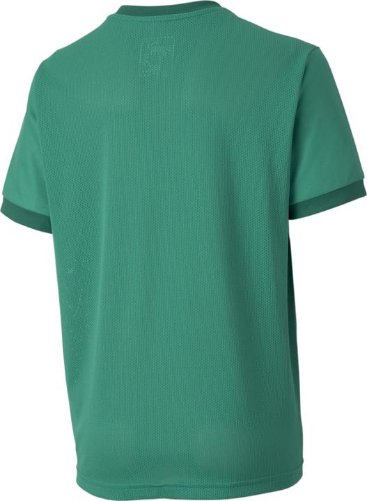 Immagine prodotto Puma Maglia teamGOAL 23 jr-704160 (152)
