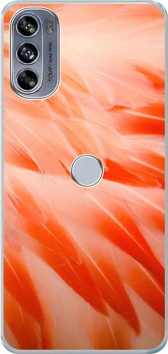 Flamingo feathers