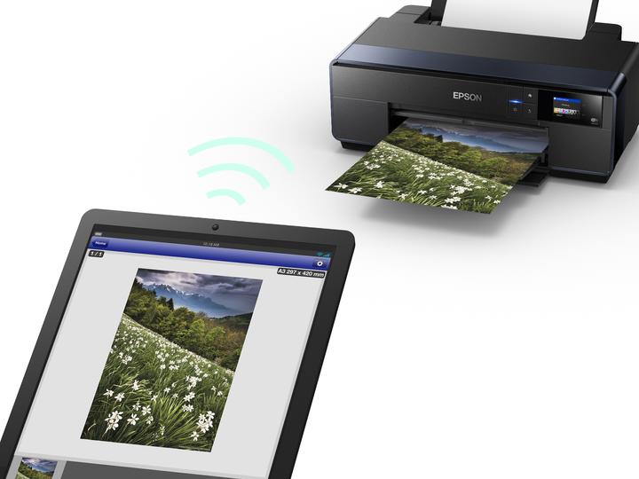 Image du produit Epson SC-P600 SureColor (Encre, Couleur)