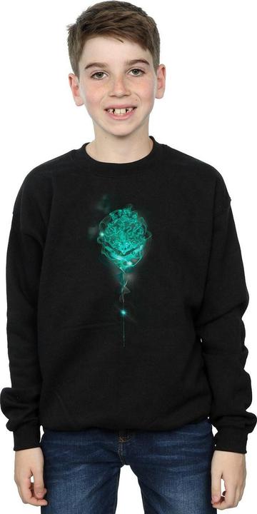 Produktbild Hogwarts Crest Mist Sweatshirt Jungen (140, 146)