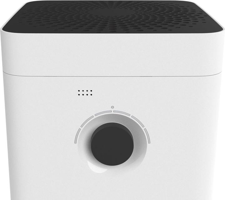 Actual product image Boneco H300 (50 m²)