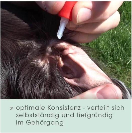 Actual product image cdVet Ear cleaner ear care, 20 ml (Dog, 20 ml)