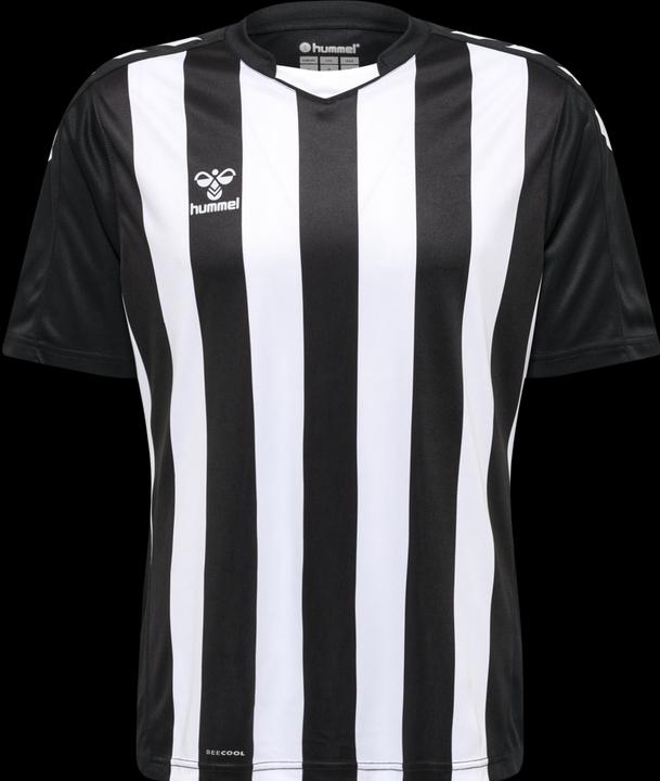 Actual product image hummel Core Xk Striped Jersey S/S (M)