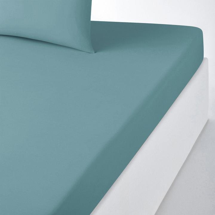 Actual product image La Redoute Interieurs Scenario Polycoton (120 x 190 cm)