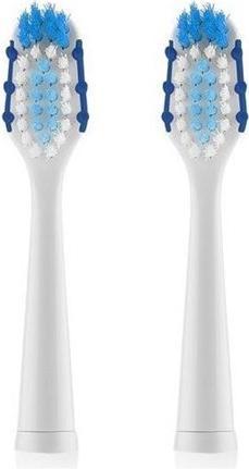 Actual product image ETA Sonetic (2 x)