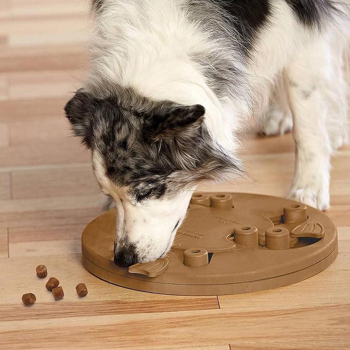 Actual product image Nina Ottosson Nina Ottoson Dog Worker Composite
