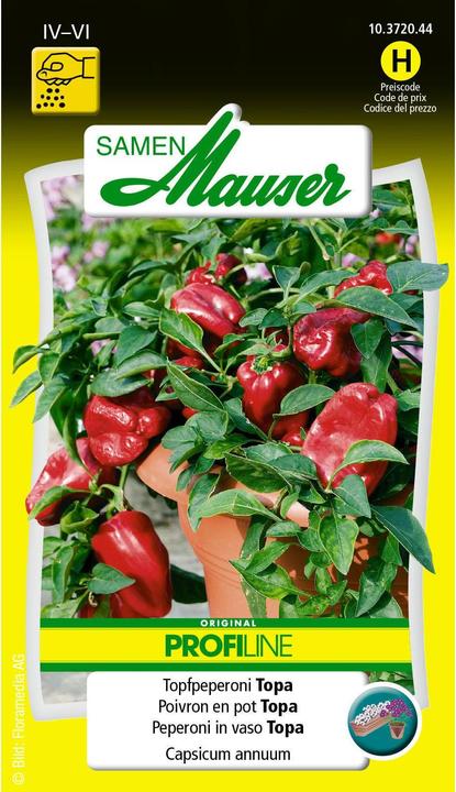 Actual product image Samen Mauser Potted Pepperoni (Vegetable seeds)