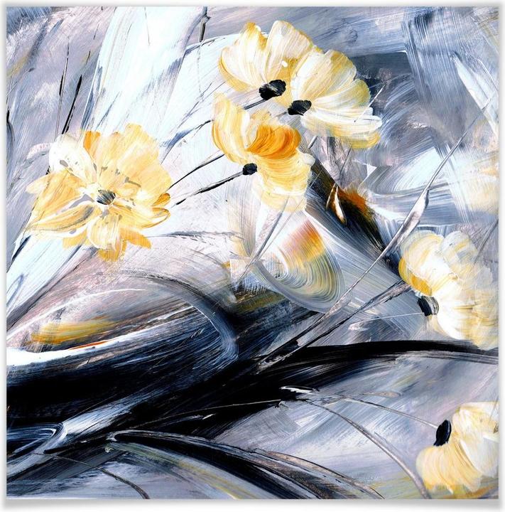 Image du produit Trenddeko Niksic - Boléro (50 x 50 cm)