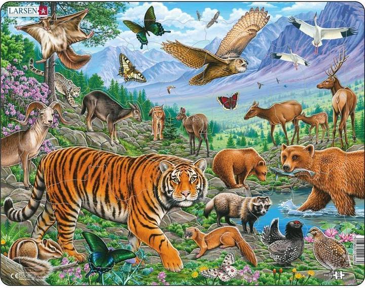 Produktbild Larsen Der Amur-Tiger im sibirischen Sommer (36 Teile)