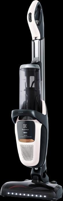 Actual product image Electrolux Pure F9 PF91-ALRGY