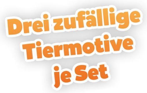 Immagine prodotto Tigermedia Wildcard Swiss Edition (3 pezzi da 120 minuti ciascuno) (Tedesco, Svizzero-tedesco)