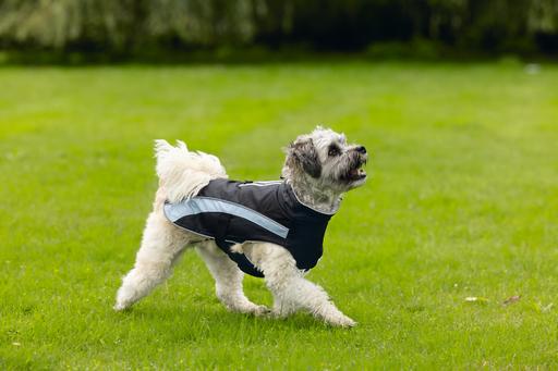 Produktbild Beeztees Hundemantel Saby (XXL, Hundemantel)