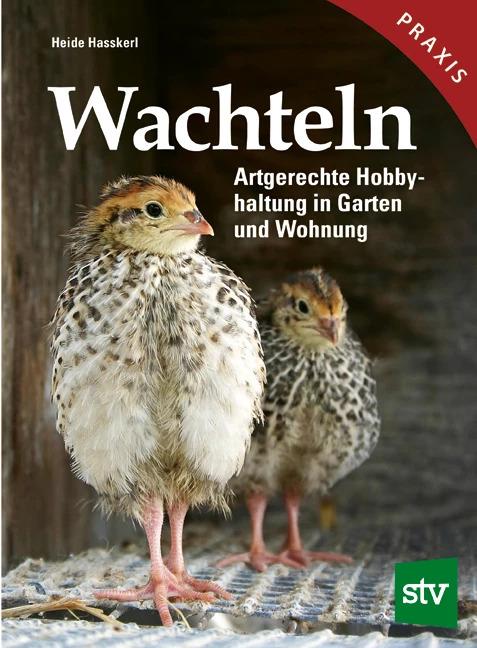 Immagine prodotto Wachteln (Tedesco, Heide Hasskerl, 2022)
