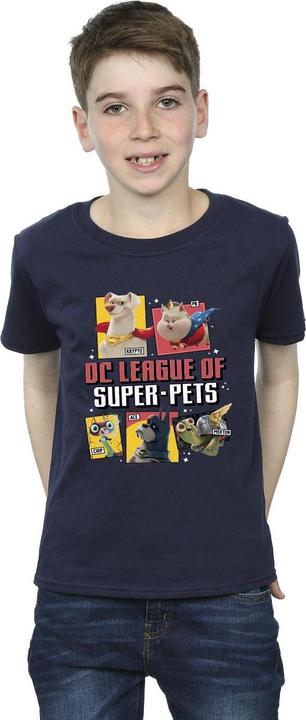 Actual product image Boys DC League Of Super-Pets Profile T-Shirt (152, 158)