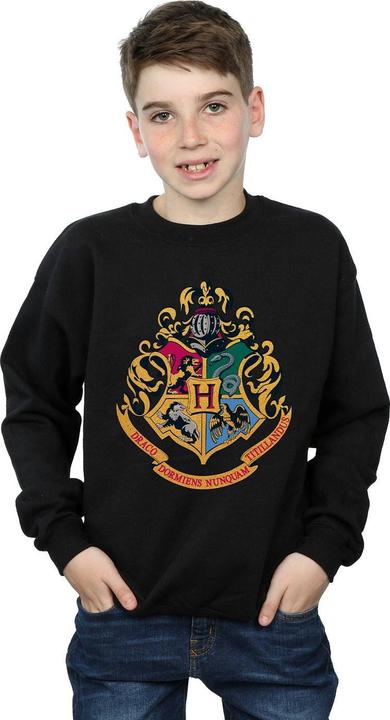 Actual product image Boys Hogwarts Crest Gold Ink Sweatshirt (140, 146)