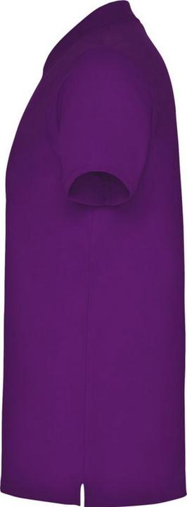 Actual product image Alpinia Mens Star Short-Sleeved Polo Shirt (S)