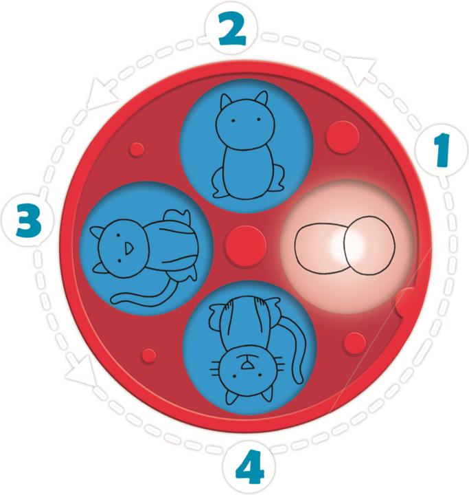 Actual product image Jumbo Dessineo