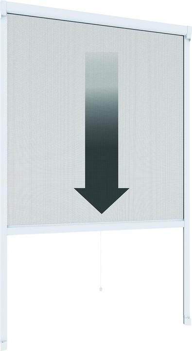 Immagine prodotto Windhager Tenda a rullo (160 x 160 cm)