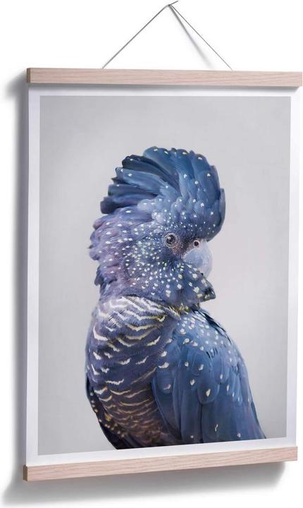 Actual product image Trenddeko Blue cockatoo (40 x 50 cm)