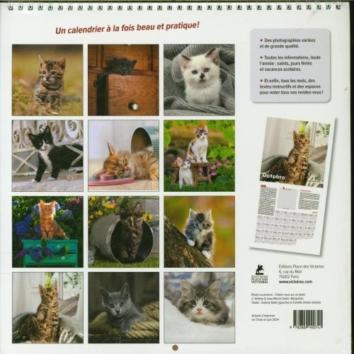 Produktbild Chatons : calendrier 2025 (Harter Einband, Französisch)
