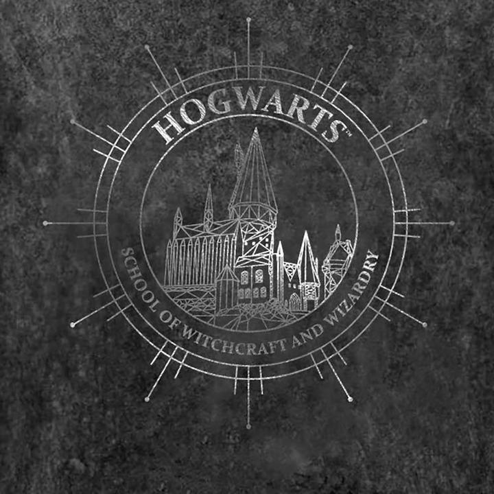 Produktbild Hogwarts Constellation TShirt (M)
