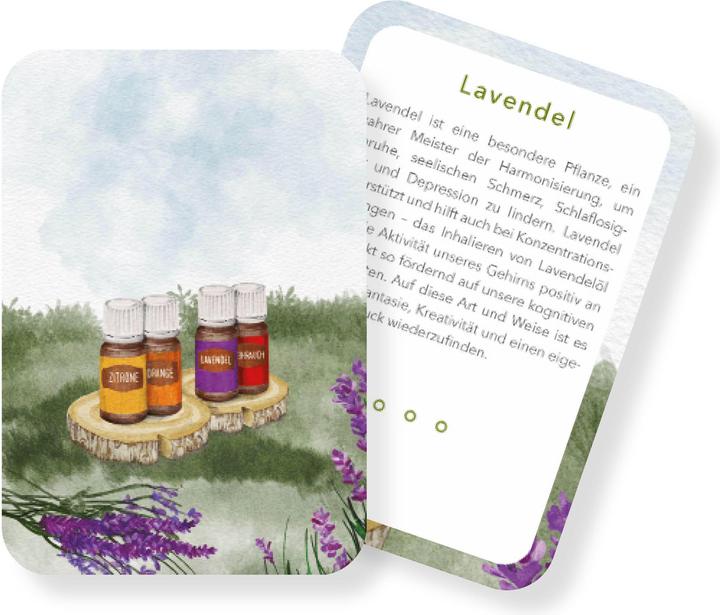 Actual product image Zurück nach Hause finden (German, Sandra Stelzner-Mürköster, 2024)