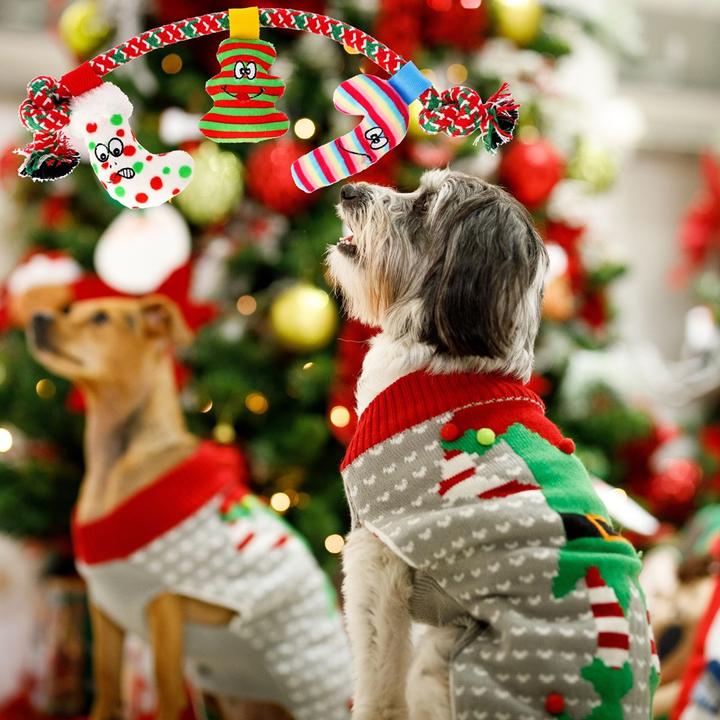 Image du produit Red Dingo DINGO Magic Moments - Jouet pour chien - 34 cm