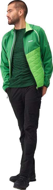 Produktbild Regatta Steren Hybrid Softshelljacke (L)