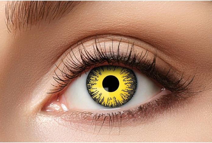 Image du produit Zoelibat Tournesol (Jaune/Noir)
