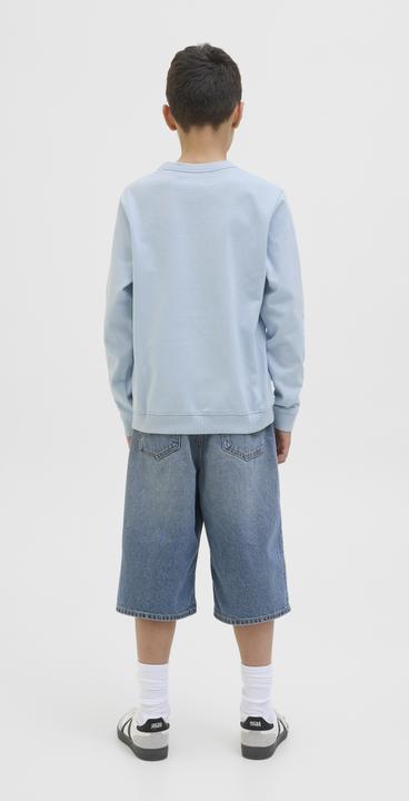Produktbild Jack & Jones Gedruckt Sweatshirt Junior Sweatshirt (164)
