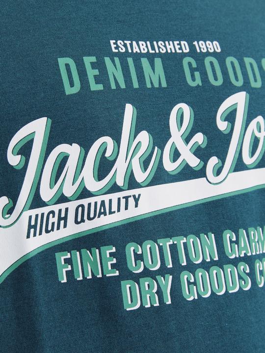 Image du produit Jack & Jones JJELOGO TEE SS ONECK 2COL 24/25 NOOS JNR (176)