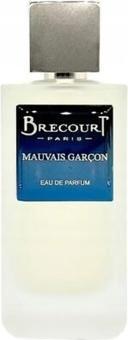 Brecourt Paris Brecourt Bad Boy Eau De Parfum 100ml (Eau de Parfum, 100 ml)