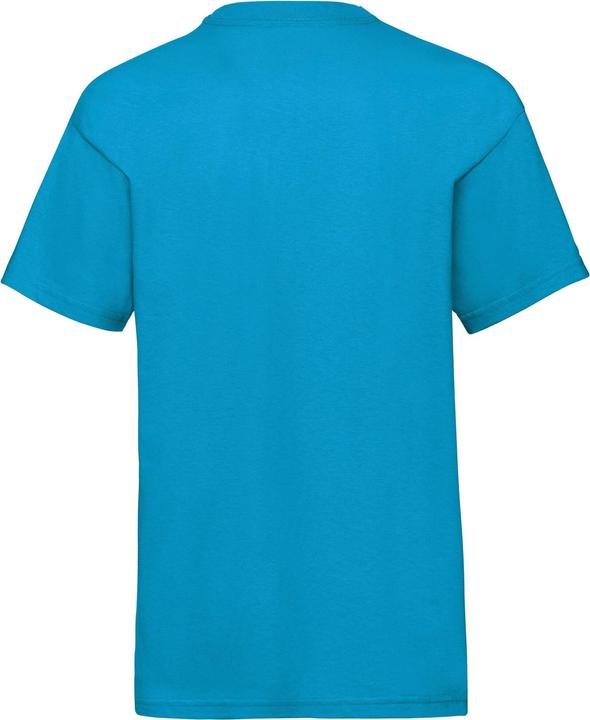 Actual product image Fruit of the Loom Childrens/Kids Value T-Shirt (164, 170)