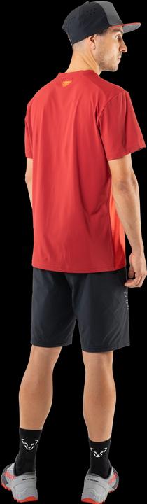 Actual product image Dynafit Transalper Light Dynastretch Shorts (L)