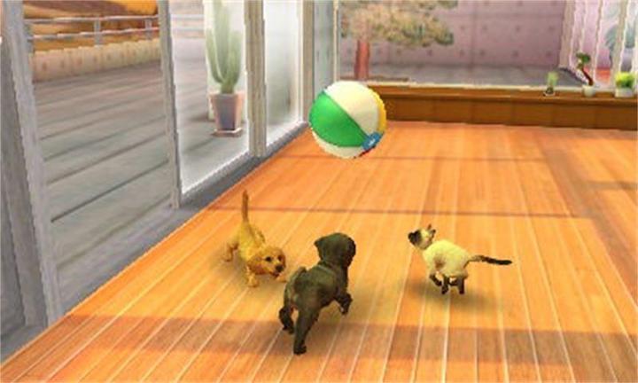 Produktbild Nintendo Nintendogs + Cats: Golden Retriever (3DS, Multilingual)