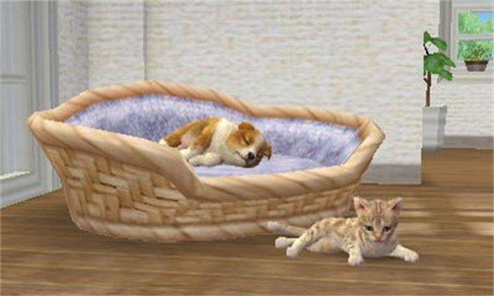 Produktbild Nintendo Nintendogs + Cats: Golden Retriever (3DS, Multilingual)