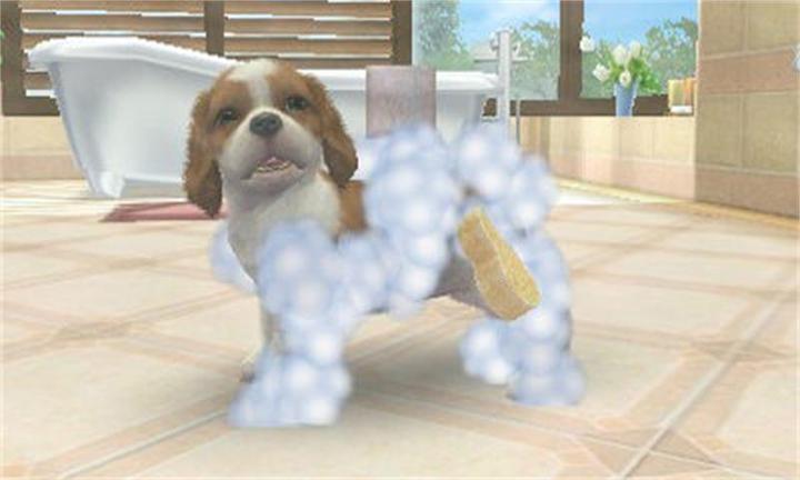 Produktbild Nintendo Nintendogs + Cats: Golden Retriever (3DS, Multilingual)