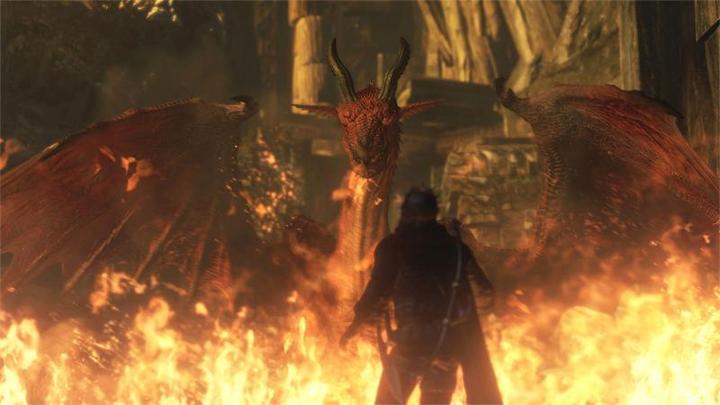 Image du produit Capcom Dragon's Dogma : Dark Arisen -US- (Switch, Switch Lite, Switch OLED, EN)