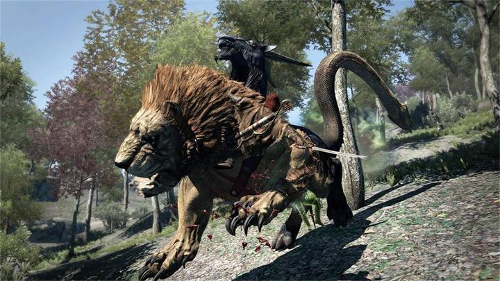 Image du produit Capcom Dragon's Dogma : Dark Arisen -US- (Switch, Switch Lite, Switch OLED, EN)