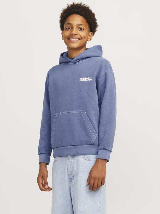 Actual product image Jack & Jones JORVERMONT hooded jumper (176)